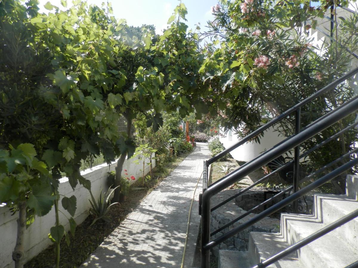 Silvi Mari Apartments Platanés Exterior foto